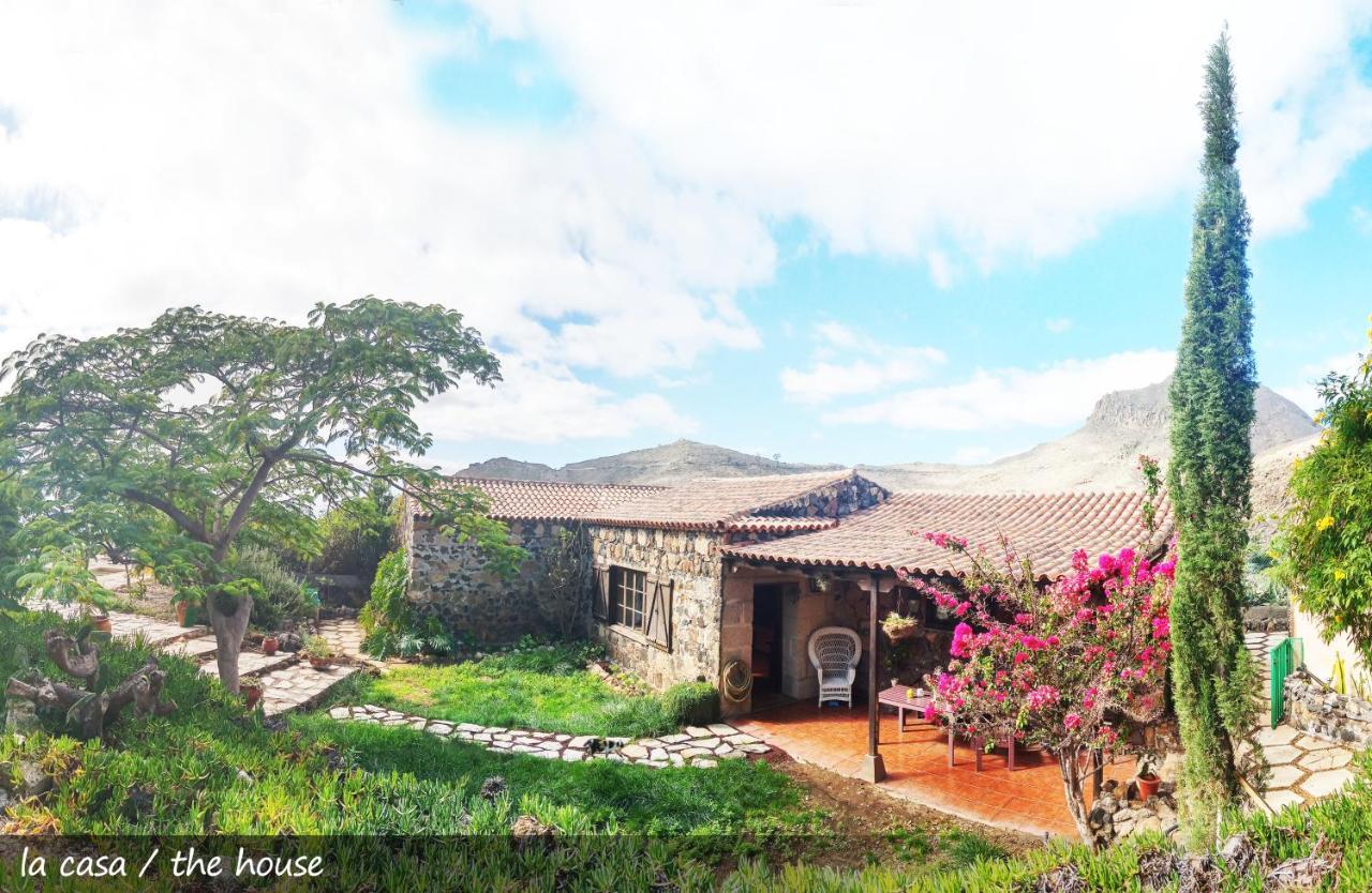 Live Finca San Miguel San Miguel de Abona Buitenkant foto