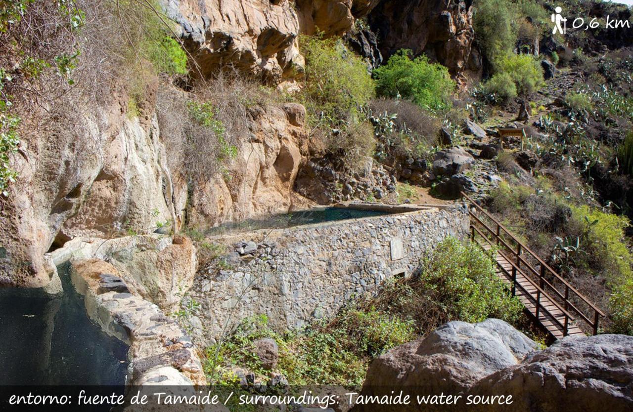 Live Finca San Miguel San Miguel de Abona Buitenkant foto