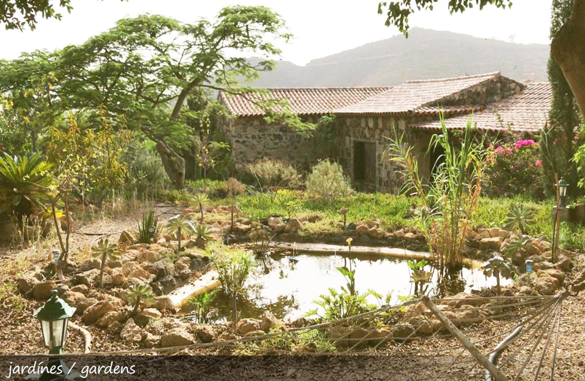 Live Finca San Miguel San Miguel de Abona Buitenkant foto